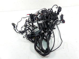 2015 BMW R1200GS GSW K50 Main & Engine Wiring Harness Esa Abs 61118549371
