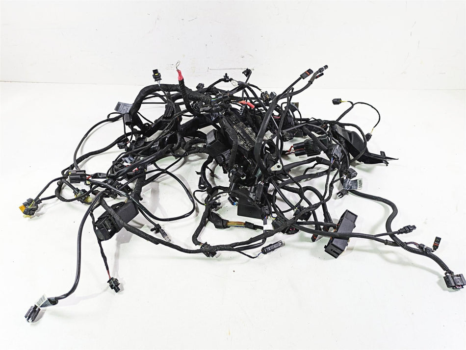 2021 BMW R1250GS K51 Adv Main & Engine Wiring Harness ESA Read 61111683766 {{ shop.shopifyCountryName }} - Mototech271