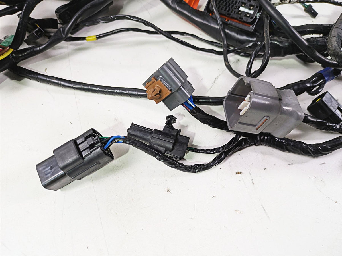 2013 Triumph Tiger 1215 Explorer Wiring Harness Loom - No Cuts T2501095 {{ shop.shopifyCountryName }} - Mototech271