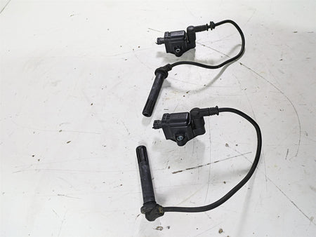 2015 Ducati Panigale 1299 S Eldor Ignition Coil Set 38040221B {{ shop.shopifyCountryName }} - Mototech271