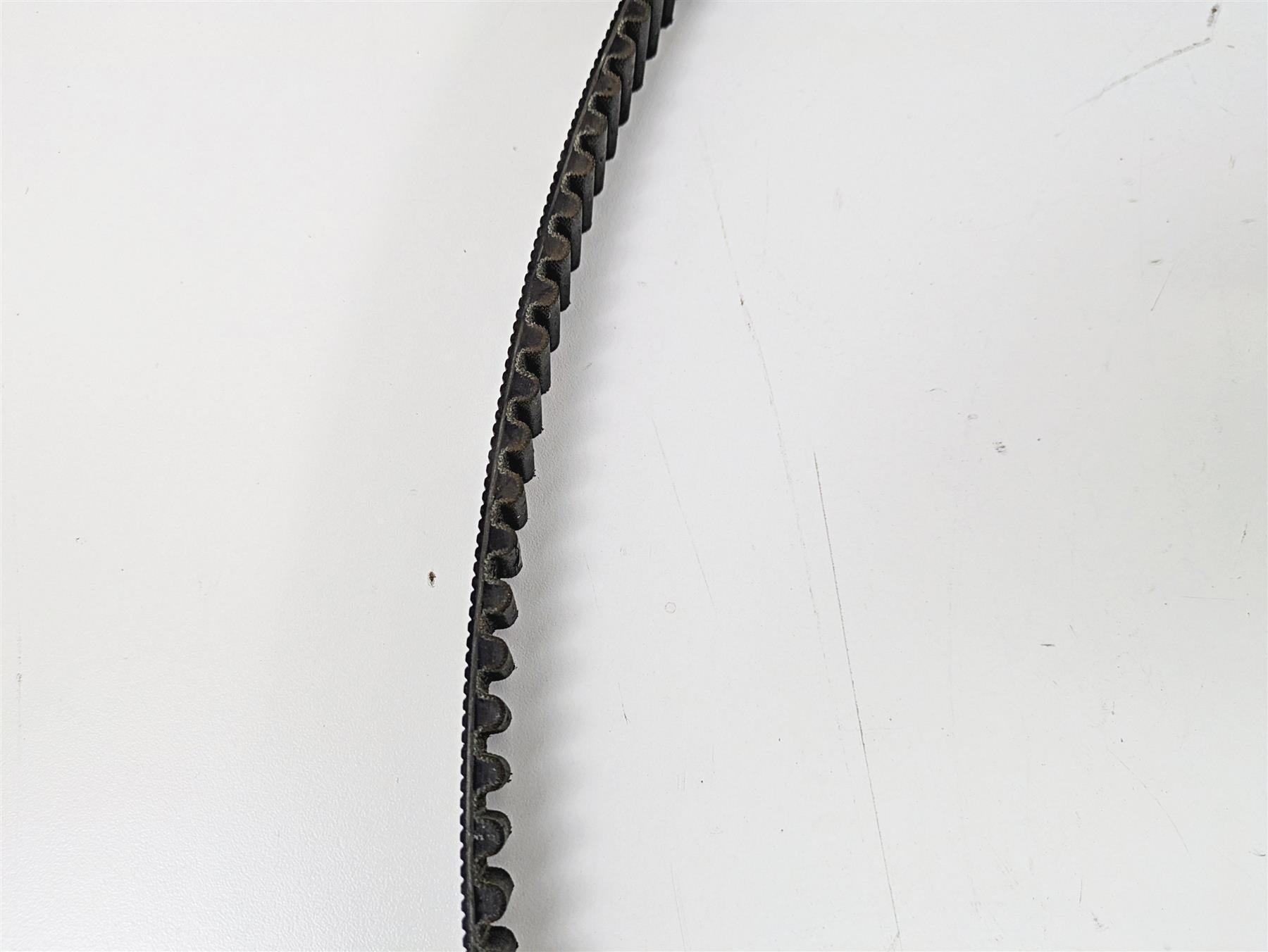 2024 Harley Sportster RH975 S Rear Drive Belt 178 Teeth 40000026 {{ shop.shopifyCountryName }} - Mototech271
