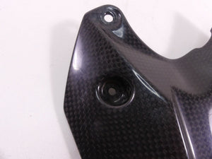 2017 Triumph Daytona 675R Rear Carbon Fiber Fender Mud Flap 11046329