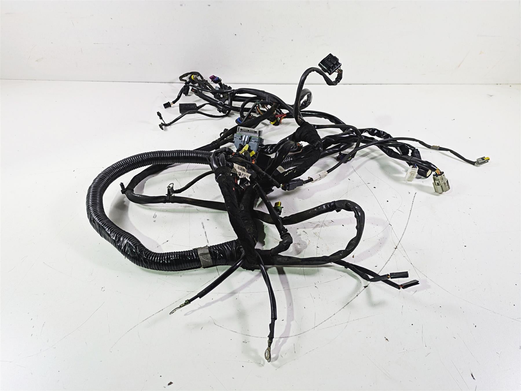 2007 Harley FXDWG Dyna Wide Glide Main Wiring Harness Loom - No Cut 69603-07 {{ shop.shopifyCountryName }} - Mototech271
