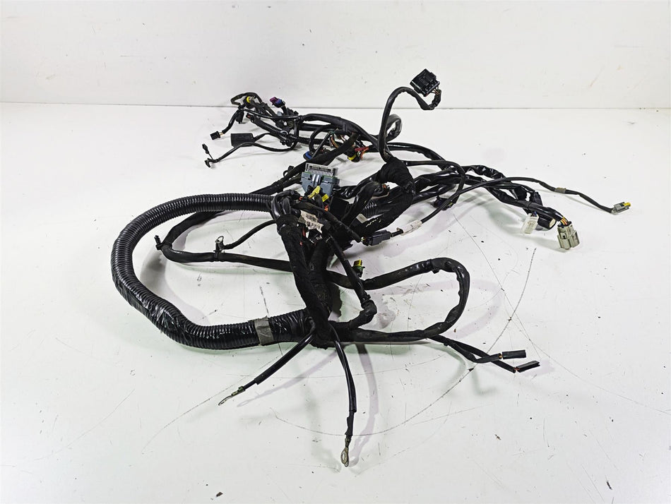 2007 Harley FXDWG Dyna Wide Glide Main Wiring Harness Loom - No Cut 69603-07 {{ shop.shopifyCountryName }} - Mototech271