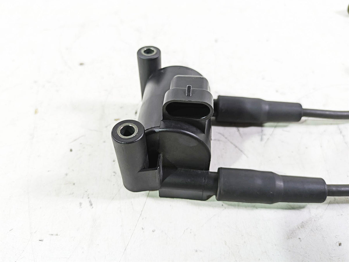 2013 Harley FXDWG Dyna Wide Glide Delphi Ignition Coil Wires Plug Set 31696-07A {{ shop.shopifyCountryName }} - Mototech271