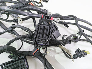 2017 BMW F800GS Adv K75 Engine & Main Wiring Harness 12518566629 61118566632