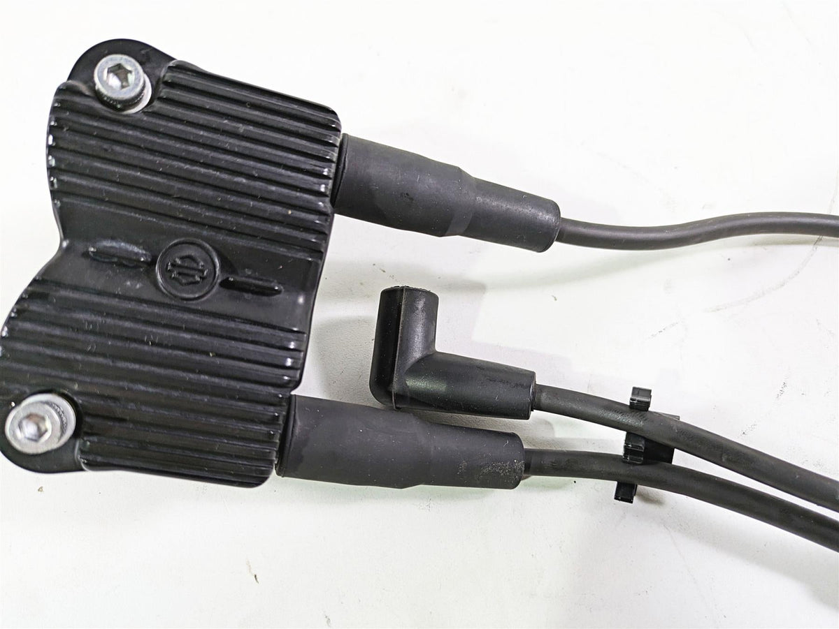 2014 Harley FXDL Dyna Low Rider Delphi Ignition Coil Wires Plugs 31696-07A {{ shop.shopifyCountryName }} - Mototech271
