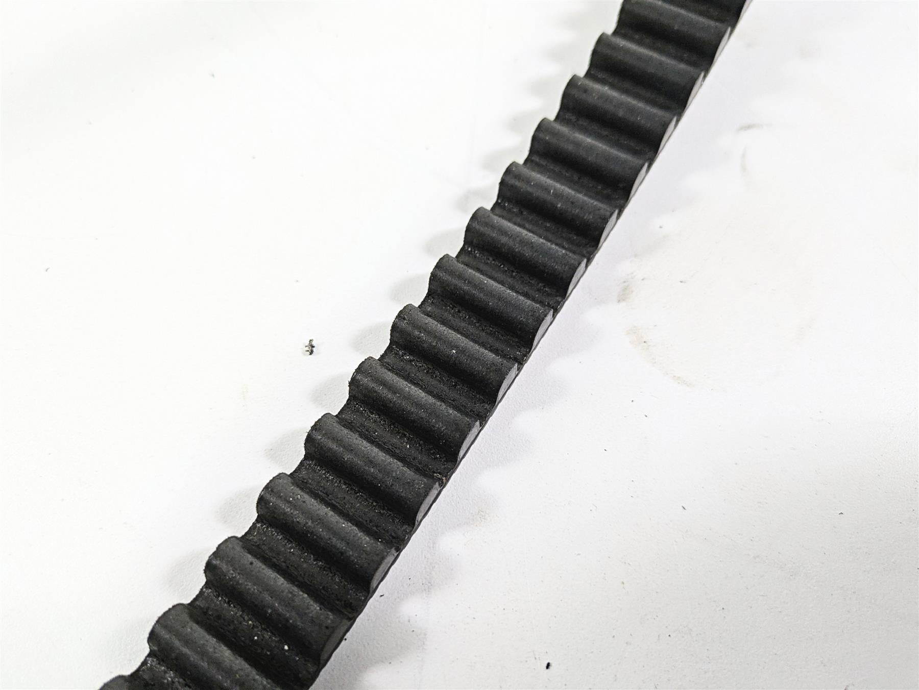2016 Harley VRSCDX Night Rod Rear Drive Belt 151T 1" 40144-07 {{ shop.shopifyCountryName }} - Mototech271