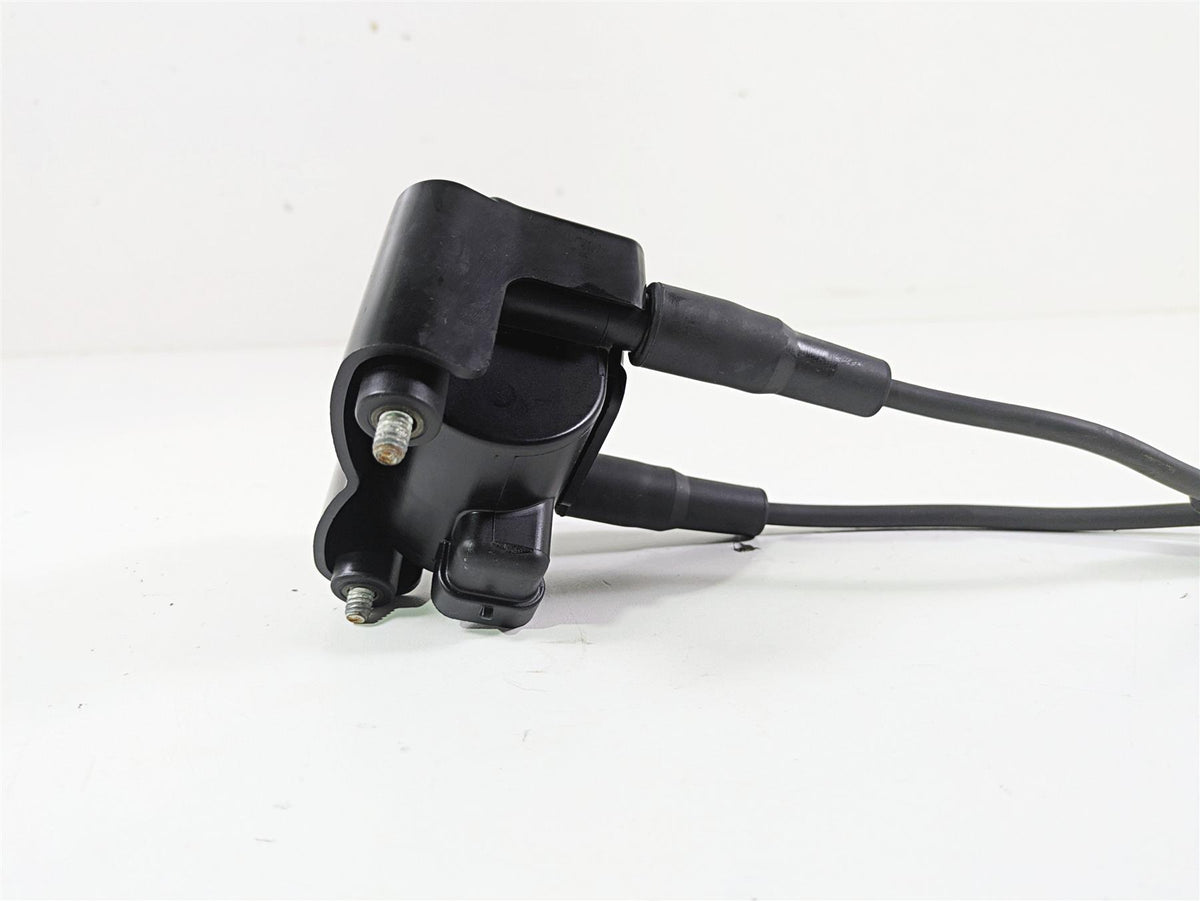 2014 Harley FXDF Dyna Fat Bob Ignition Coil Wires Plugs Set Delphi 31696-07A {{ shop.shopifyCountryName }} - Mototech271