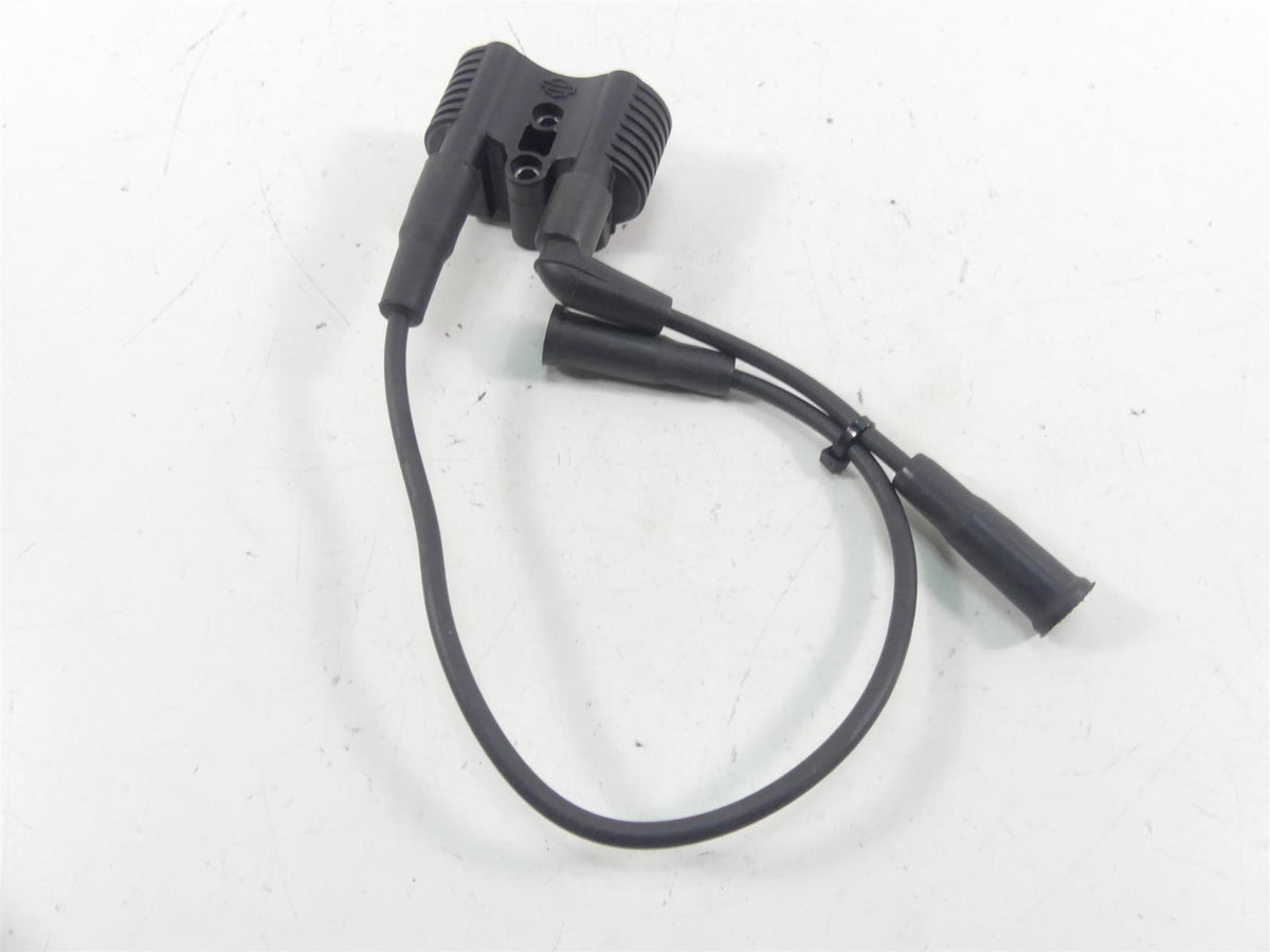 2020 Harley Sportster XL1200 NS Iron Delphi Ignition Coil Wires & Plugs 31656-07 {{ shop.shopifyCountryName }} - Mototech271
