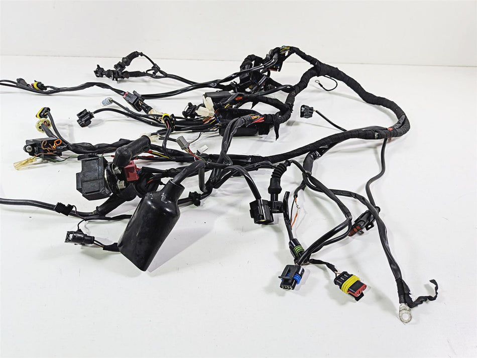 2008 Ducati Hypermotard 1100 S Wiring Harness Loom Read 51015441A-Mototech271