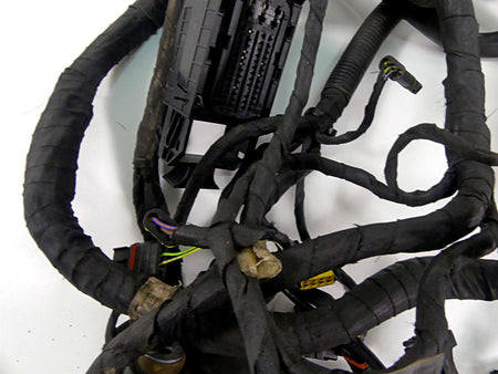 2013 BMW F800GS STD K72 Engine & Main Wiring Harness 12518534523 61118534518 {{ shop.shopifyCountryName }} - Mototech271