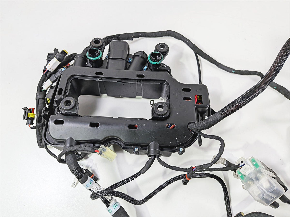 2023 Ducati Streetfighter V4 Main Wiring Harness Loom - No Cuts 5101M271B-Mototech271