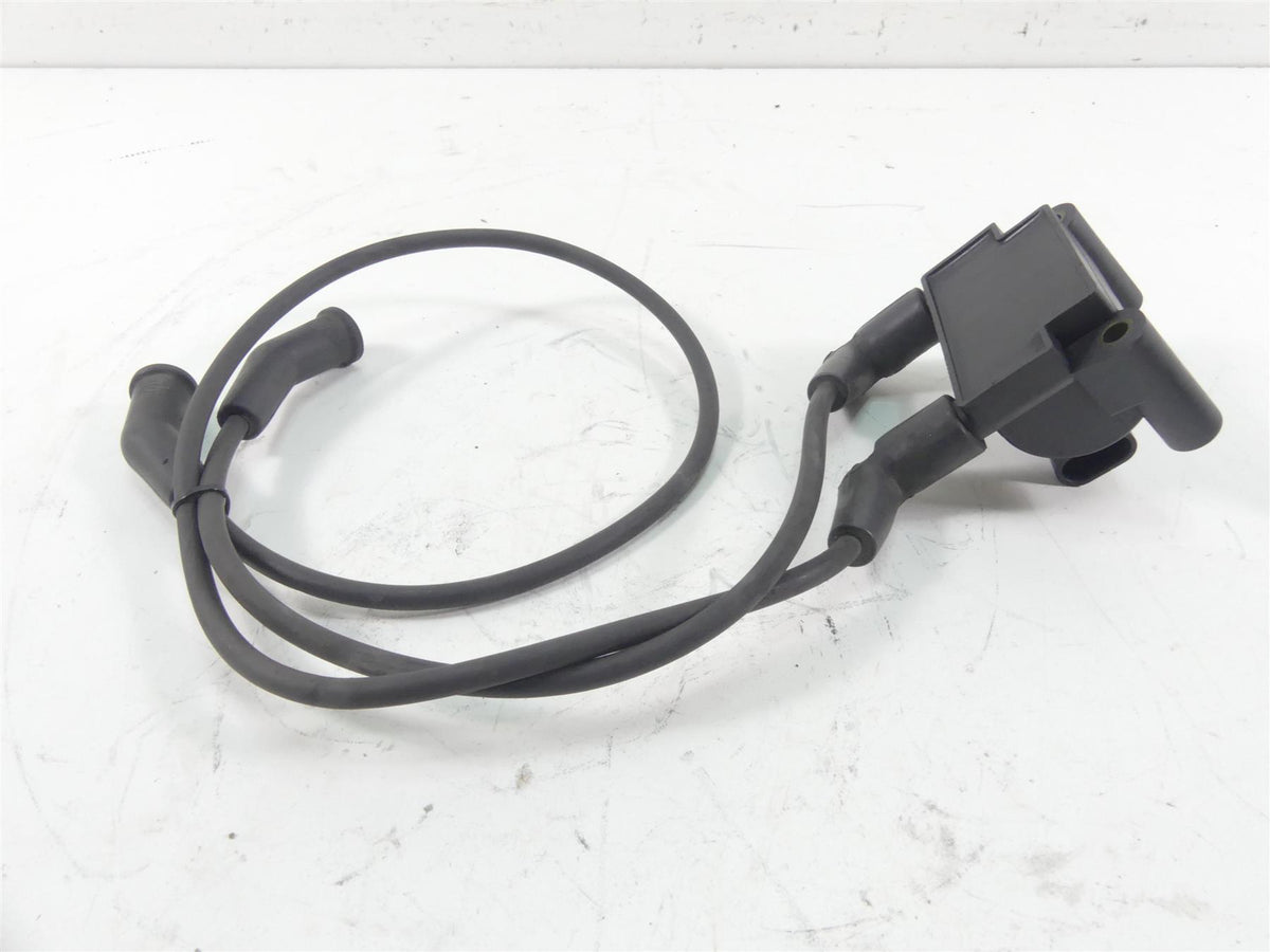 2011 Harley Touring FLTRU Road Glide Delphi Ignition Coil Wires Plugs 31696-07A {{ shop.shopifyCountryName }} - Mototech271
