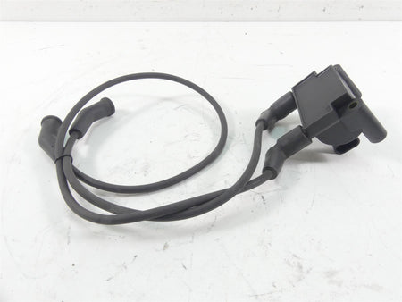 2011 Harley Touring FLTRU Road Glide Delphi Ignition Coil Wires Plugs 31696-07A {{ shop.shopifyCountryName }} - Mototech271