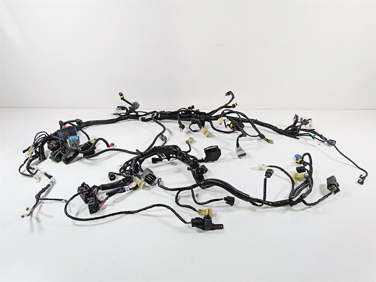 2015 KTM 1290 R Super Duke Main & Engine Wiring Harness 61311075033 60311085100-Mototech271
