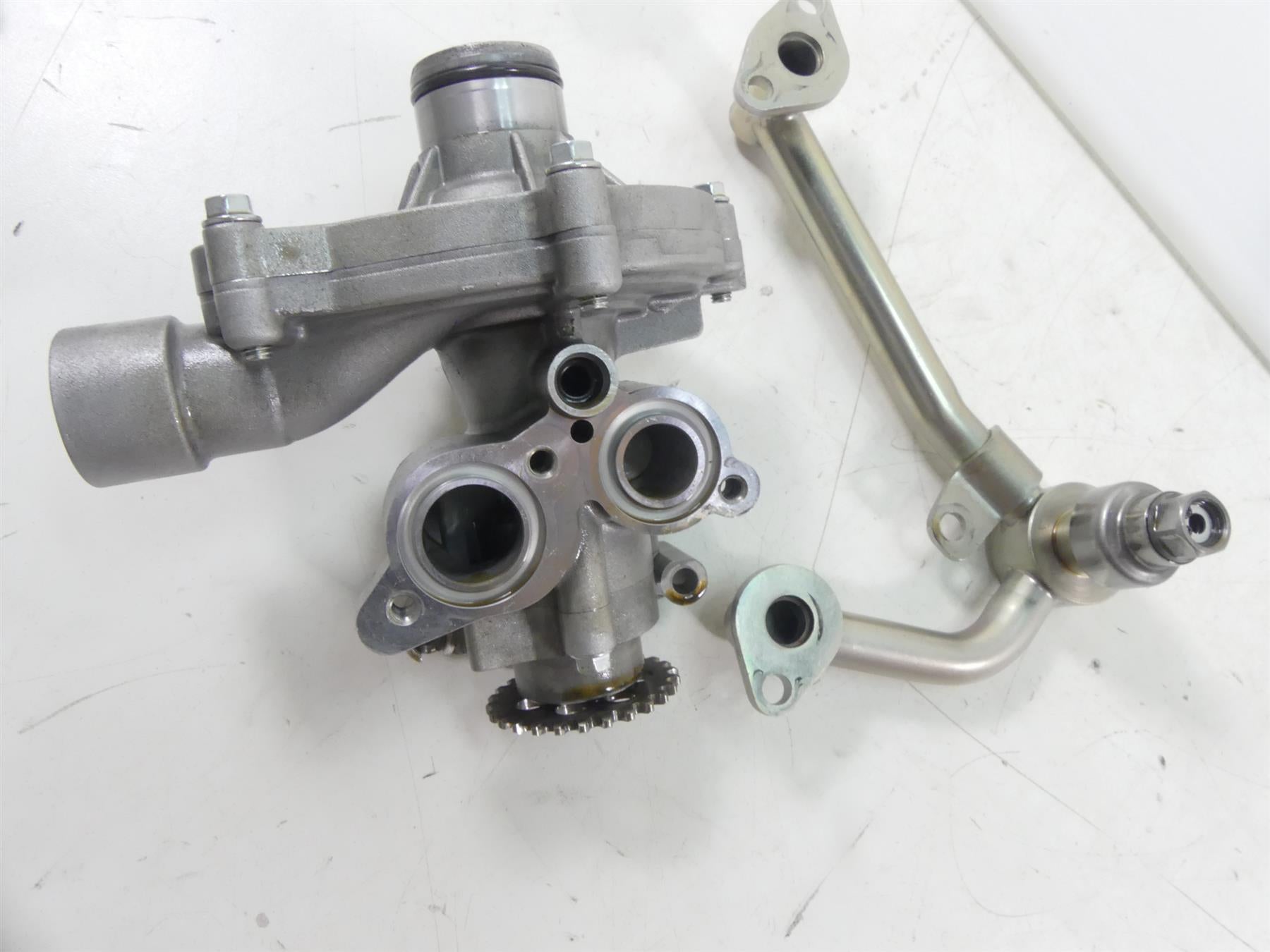 2019 Triumph Street Triple 765R Oil & Water Pump Assembly Set T1210292 {{ shop.shopifyCountryName }} - Mototech271
