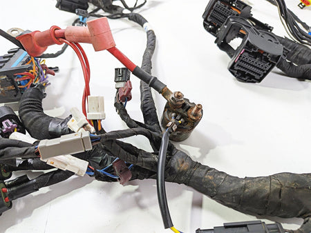2021 Indian Scout 1200 Wiring Harness Loom No Cuts No Broken Plugs 2415429 {{ shop.shopifyCountryName }} - Mototech271