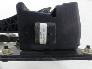 2018 Polaris RZR1000 XP EPS Brake & Accelerate Pedal Set 1021765-458  4014042 | Mototech271