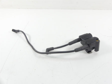 2013 Harley FXDWG Dyna Wide Glide Delphi Ignition Coil & Wires & plugs 31696-07 {{ shop.shopifyCountryName }} - Mototech271