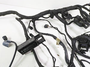 2018  BMW R1200GS GSW K50 Main & Engine Wiring Harness Abs 61118394905 8544469