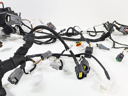 2019 Ducati Panigale V4S V4 S Corse Wiring Harness Loom Set 5101C381G 69929711A {{ shop.shopifyCountryName }} - Mototech271