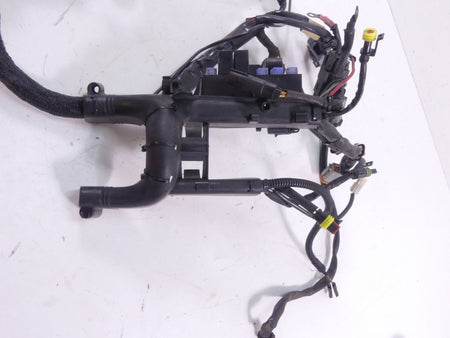 2009 Harley Sportster XR1200 Main & Engine Wiring Harness -Read 70225-08 70163-0 {{ shop.shopifyCountryName }} - Mototech271