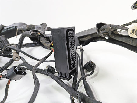 2015 BMW R1200GS K50 Main & Engine Wiring Harness Esa Grip Heat 61118549371 {{ shop.shopifyCountryName }} - Mototech271