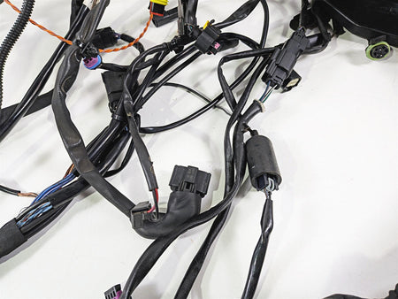 2015 Harley Touring FLTRUSE CVO Road Glide Main Wiring Harness Loom 69200959-Mototech271