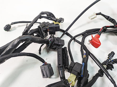 2018 Kawasaki ZX1002 Ninja H2 SX Main & Sub Wiring Harness Loom 26031-2492 {{ shop.shopifyCountryName }} - Mototech271