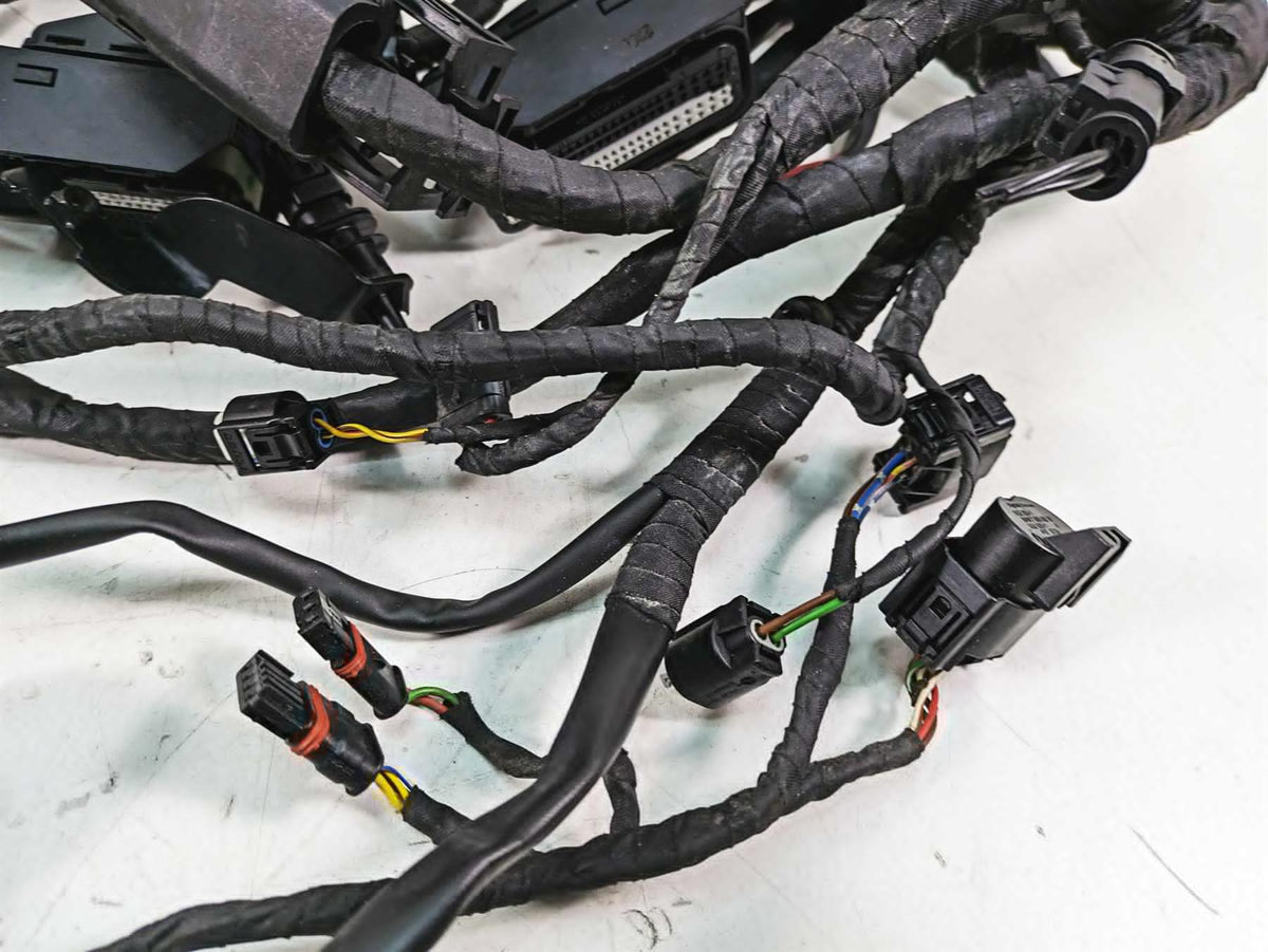 2007 BMW R1200GS K255 Adv K25 Main & Engine Wiring Harness - No Cuts 61117704196 {{ shop.shopifyCountryName }} - Mototech271