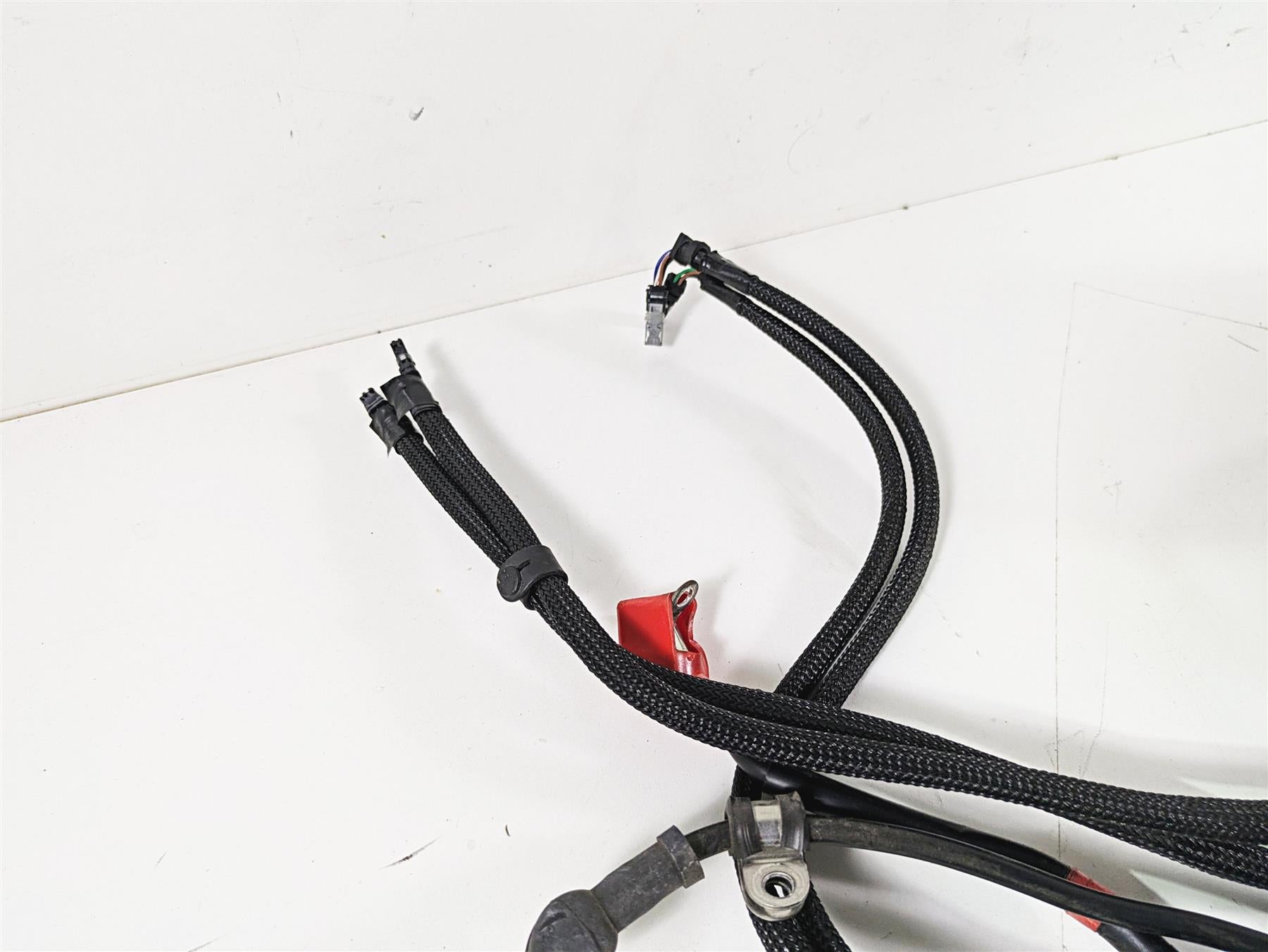 2020 Triumph Daytona 765 Moto2 Wiring Harness Loom - No Cuts T2505041 {{ shop.shopifyCountryName }} - Mototech271