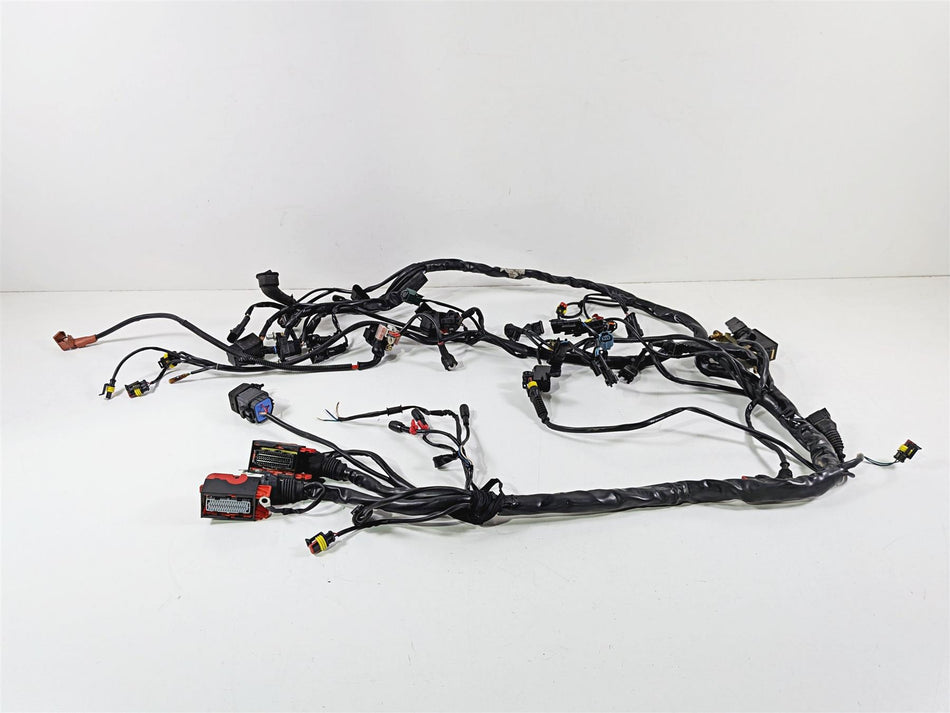 2007 Mv Agusta F4 1000R 312 Clean Main Wiring Harness Loom - Read 8000A9067