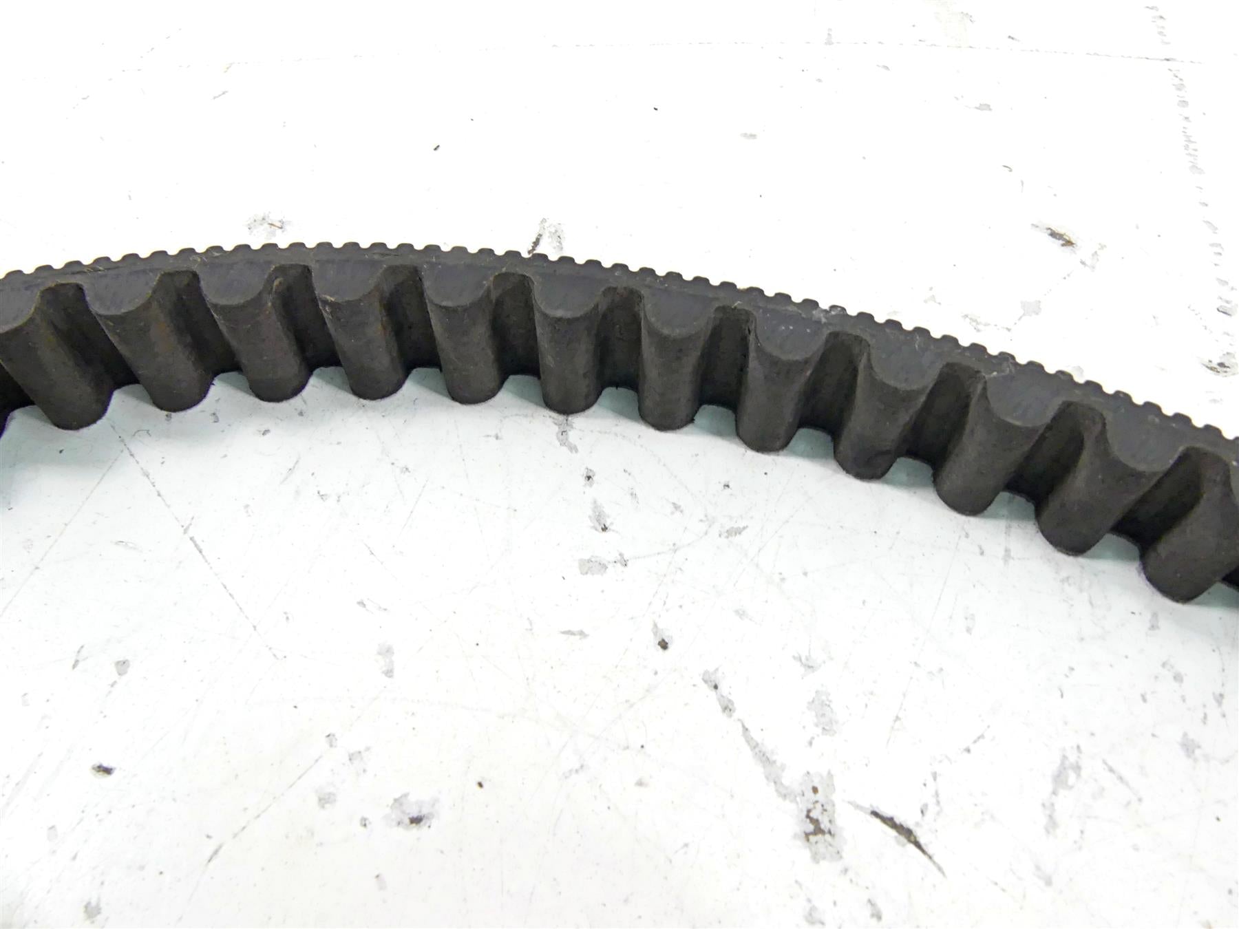 2006 Harley Softail FXSTSI Springer Rear Drive Belt 135T 20mm 40655-06 {{ shop.shopifyCountryName }} - Mototech271