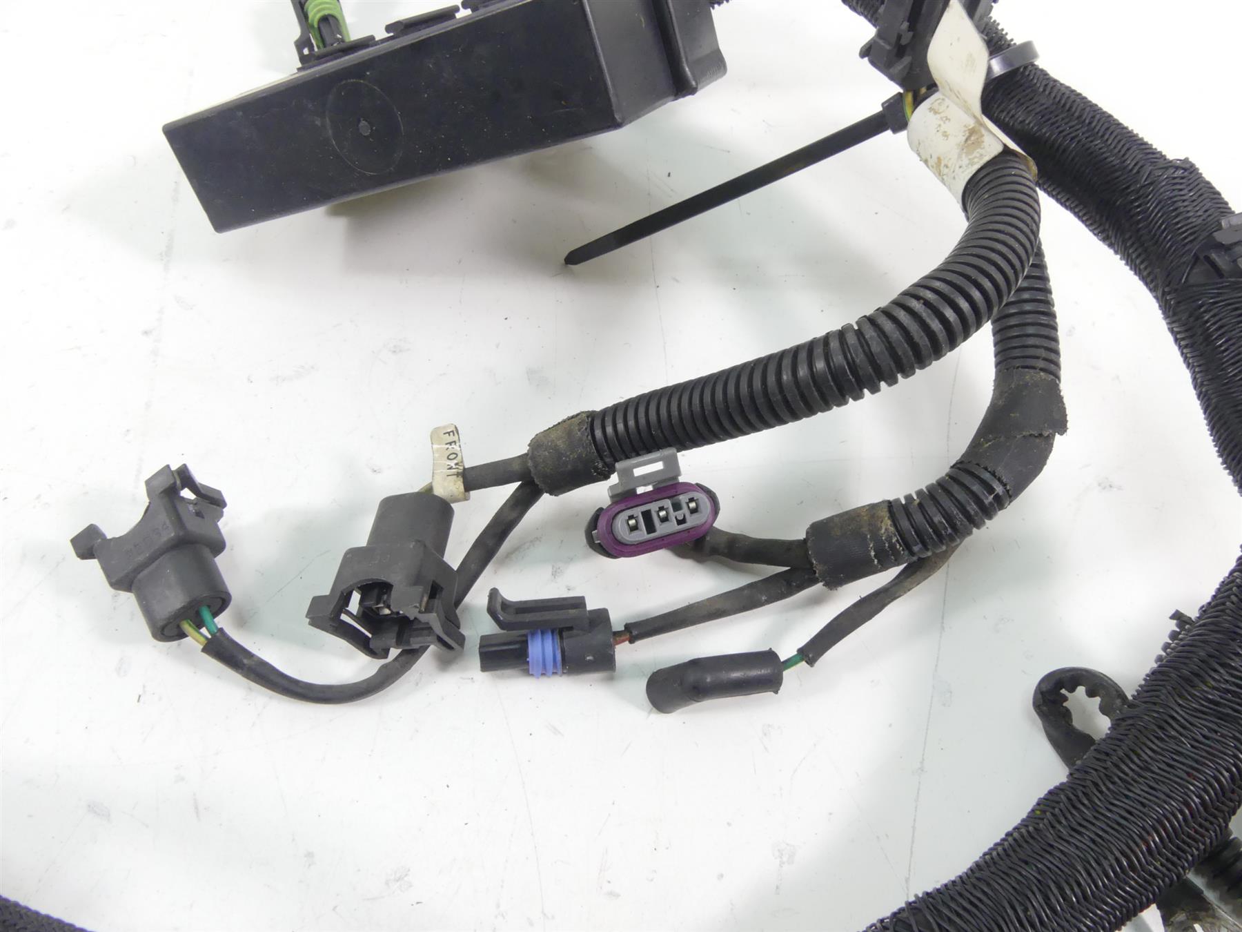 2006 Harley VRSCD Night V Rod Main & Engine Wiring Harness - No Cuts 70125-06 {{ shop.shopifyCountryName }} - Mototech271