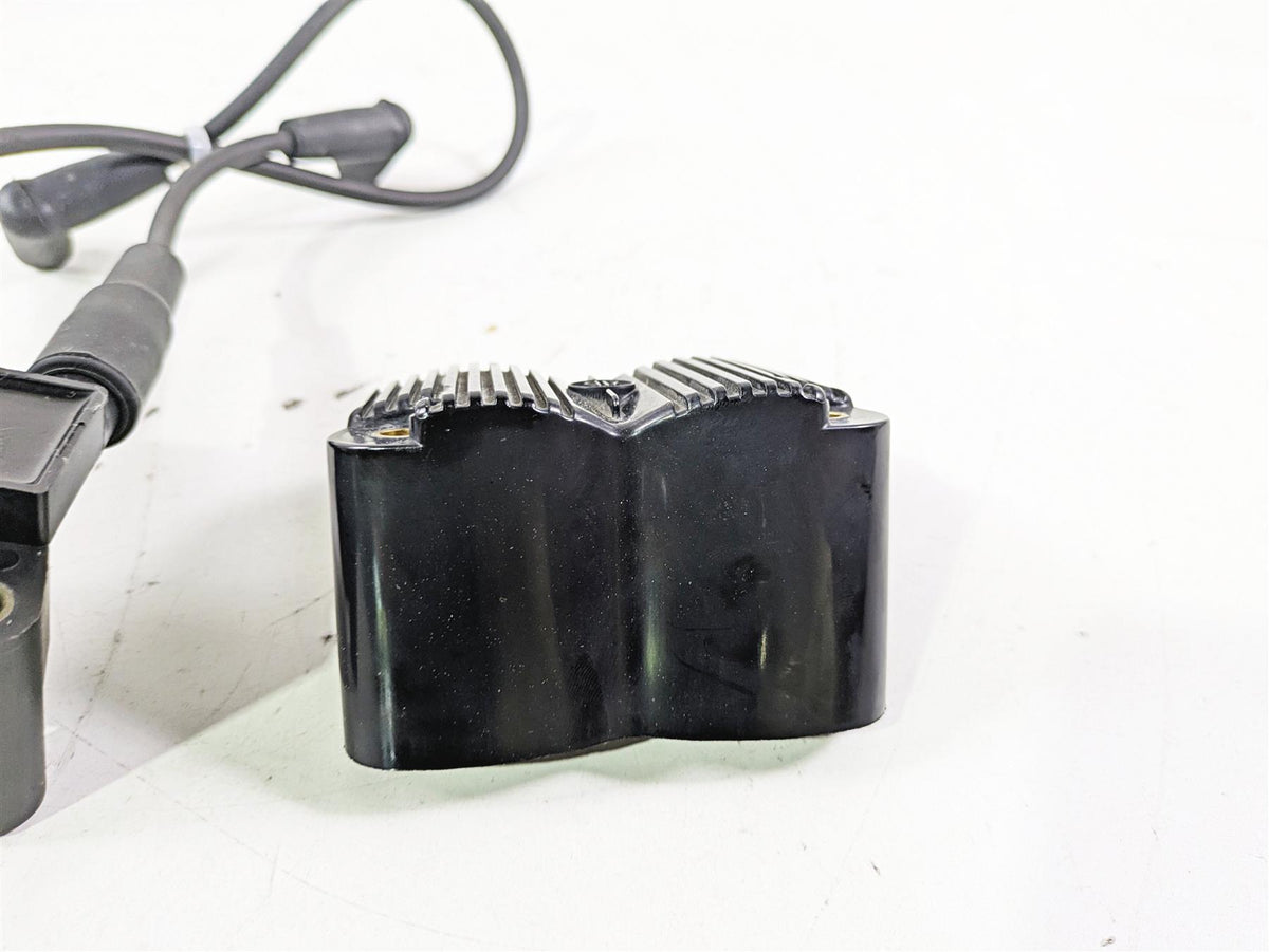 2015 Harley FXDL Dyna Low Rider Delphi Ignition Coil Wires Plugs 31696-07A {{ shop.shopifyCountryName }} - Mototech271