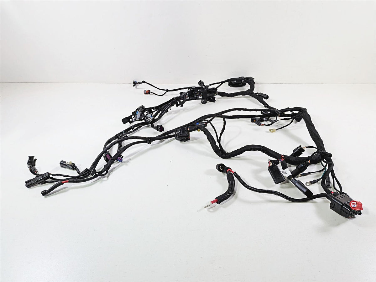 2024 Harley Softail FXLRST Low Rider Main Wiring Harness 117 - No Cuts 69202197 {{ shop.shopifyCountryName }} - Mototech271