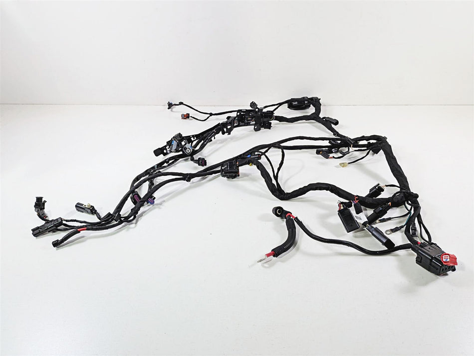 2024 Harley Softail FXLRST Low Rider Main Wiring Harness 117 - No Cuts 69202197 {{ shop.shopifyCountryName }} - Mototech271