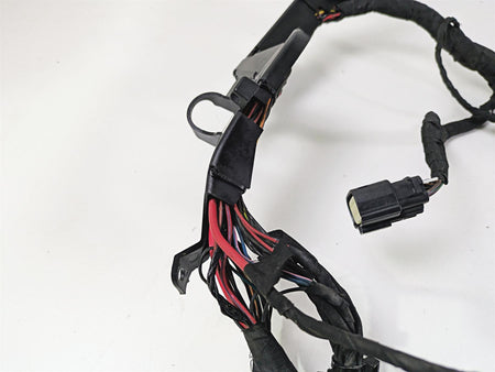 2022 Harley RA1250 S Pan America Wiring Harness Loom - For Parts 69202185 {{ shop.shopifyCountryName }} - Mototech271