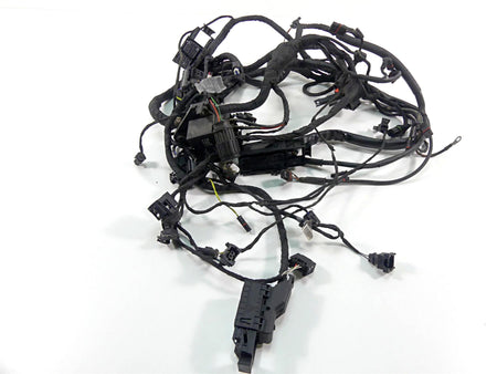 2013 BMW F800GS STD K72 Engine & Main Wiring Harness 12518534523 61118534518 {{ shop.shopifyCountryName }} - Mototech271