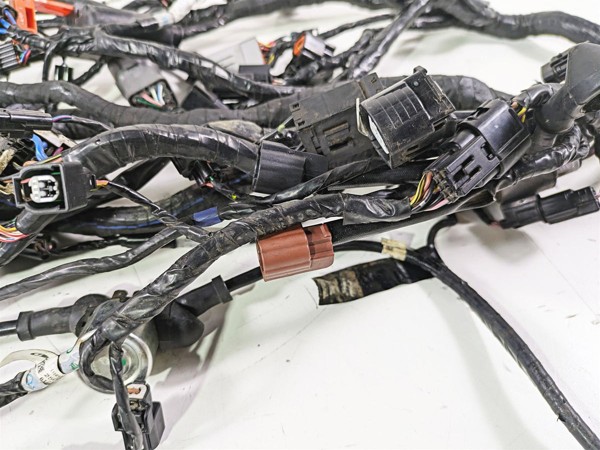 2015 Triumph Tiger Explorer XC Wiring Harness Loom - No Cuts T2501095 {{ shop.shopifyCountryName }} - Mototech271