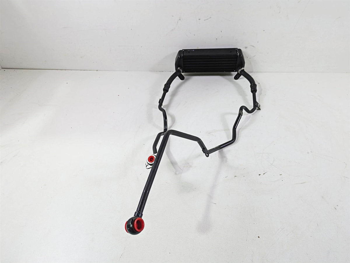 2009 BMW R1200GS K255 Adv Oil Cooler & Lines Hoses 17217712866 {{ shop.shopifyCountryName }} - Mototech271