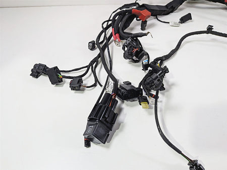 2023 BMW R nineT Scrambler K23 Main Wiring Harness & Engine Wiring 61111623748 {{ shop.shopifyCountryName }} - Mototech271