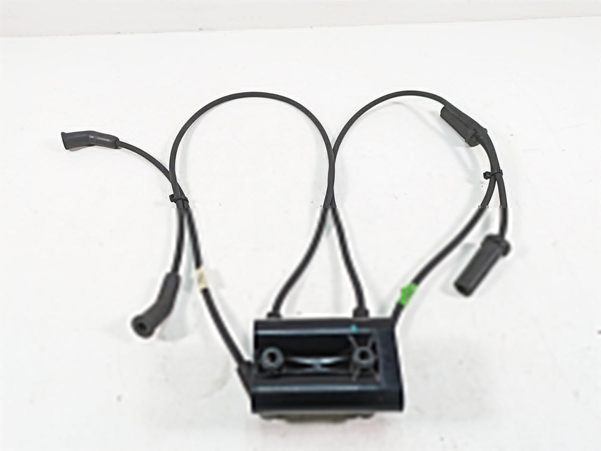 2020 Harley Touring FLHX Street Glide Delphi Ignition Coil Wires Plugs 28514000 {{ shop.shopifyCountryName }} - Mototech271