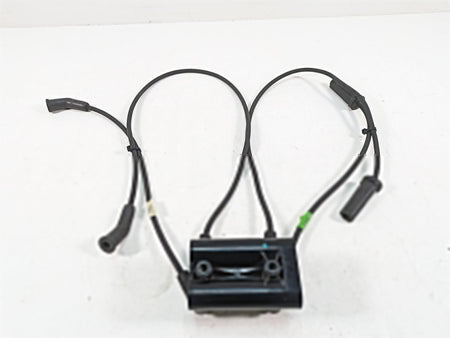 2020 Harley Touring FLHX Street Glide Delphi Ignition Coil Wires Plugs 28514000 {{ shop.shopifyCountryName }} - Mototech271