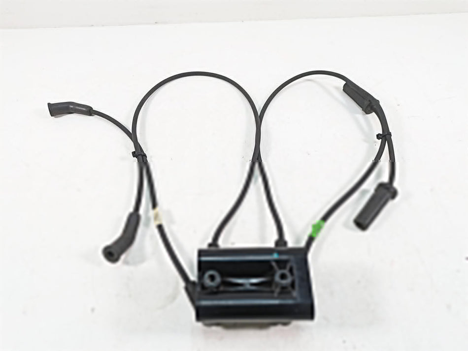 2020 Harley Touring FLHX Street Glide Delphi Ignition Coil Wires Plugs 28514000 {{ shop.shopifyCountryName }} - Mototech271