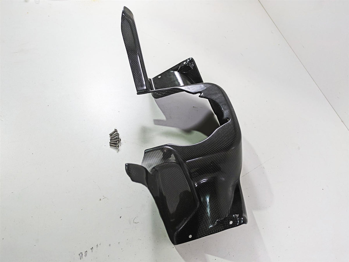 2009 Ducati Multistrada 1100 S Inner Front Carbon Fiber Fairing Cover PM20824 {{ shop.shopifyCountryName }} - Mototech271