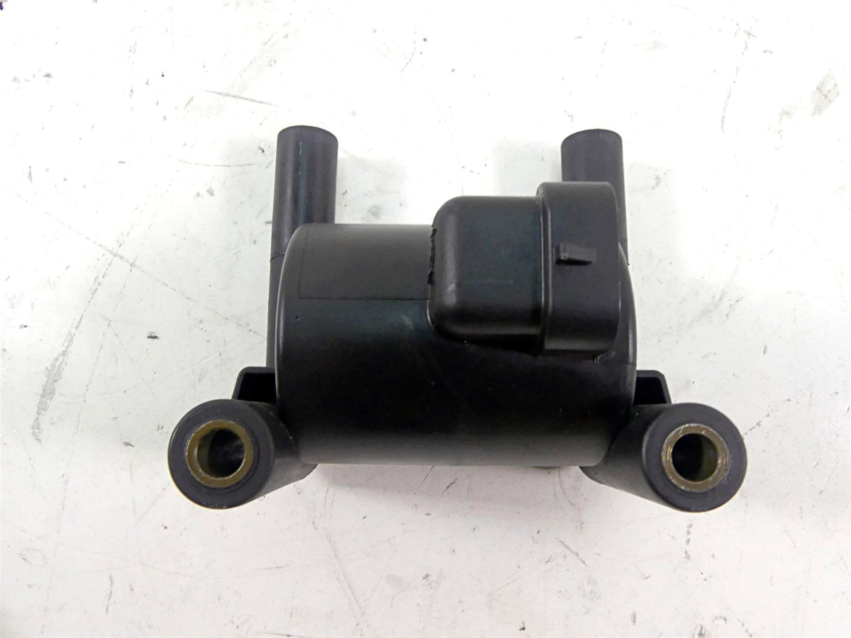 2011 Harley Touring FLTRX Road Glide Delphi Ignition Coil Wires Plugs 31696-07A {{ shop.shopifyCountryName }} - Mototech271