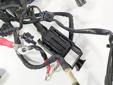 2019 BMW R1250GS K50 Main & Engine Wiring Harness Esa - No Cuts 61119480785 {{ shop.shopifyCountryName }} - Mototech271