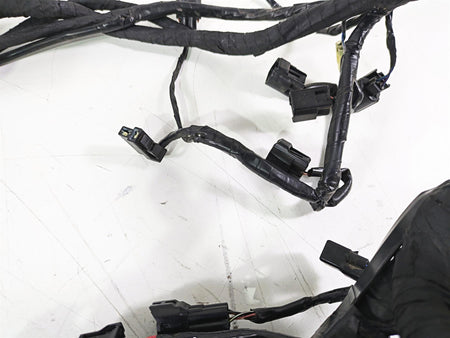 2020 Triumph Daytona 765 Moto2 Wiring Harness Loom - No Cuts T2505041 {{ shop.shopifyCountryName }} - Mototech271